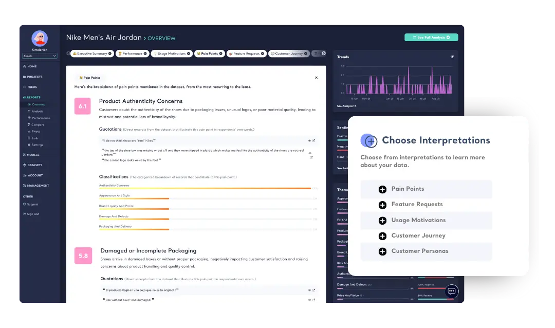 Summaries, Pain Points, Motivations and more