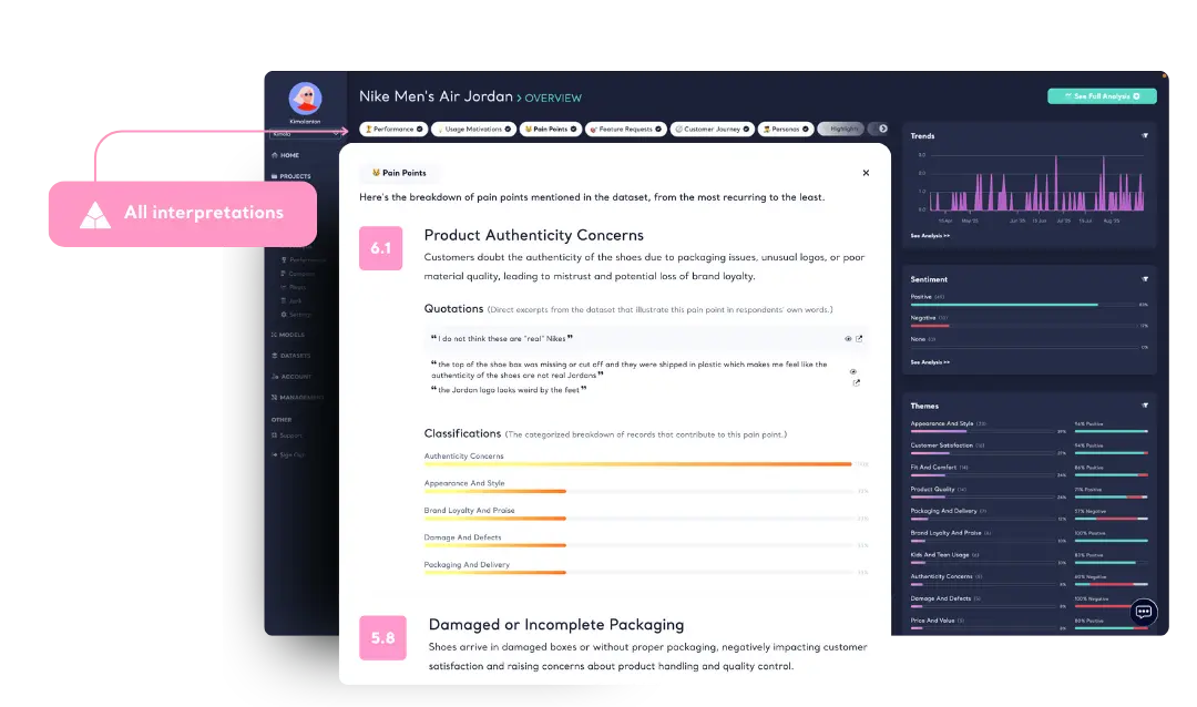 Summaries, Pain Points, Motivations and more